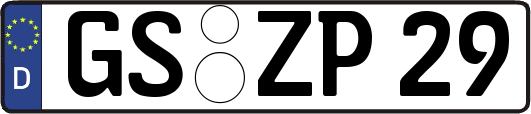 GS-ZP29