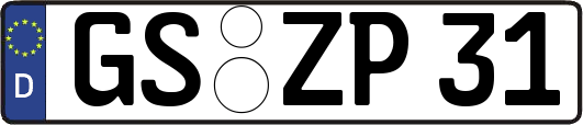 GS-ZP31