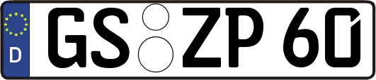GS-ZP60