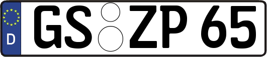 GS-ZP65