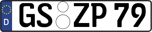 GS-ZP79