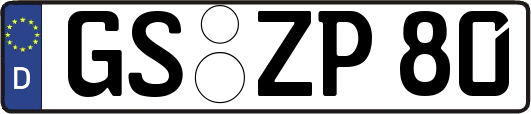 GS-ZP80