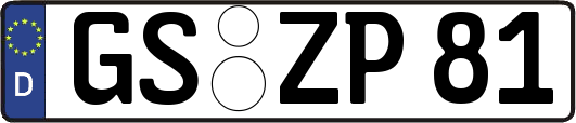 GS-ZP81