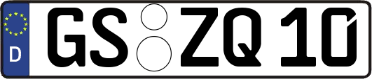 GS-ZQ10
