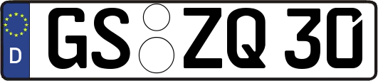 GS-ZQ30