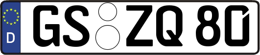 GS-ZQ80