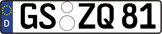 GS-ZQ81