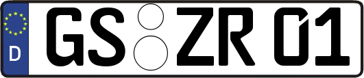 GS-ZR01