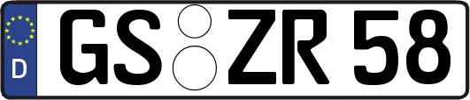 GS-ZR58