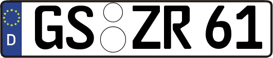 GS-ZR61