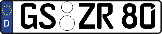 GS-ZR80