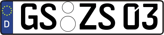 GS-ZS03