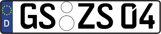 GS-ZS04