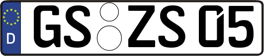 GS-ZS05