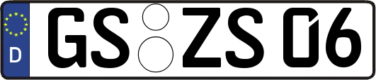 GS-ZS06