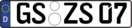 GS-ZS07