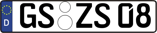 GS-ZS08