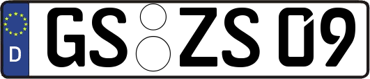 GS-ZS09