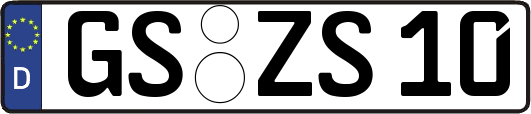 GS-ZS10
