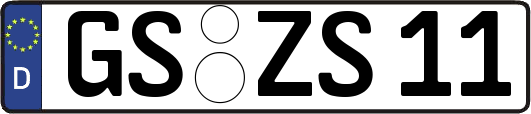 GS-ZS11