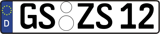 GS-ZS12