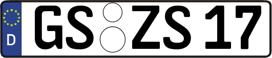 GS-ZS17