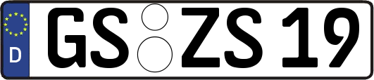 GS-ZS19