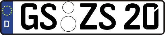 GS-ZS20