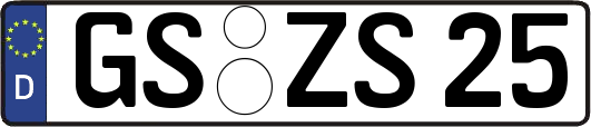 GS-ZS25