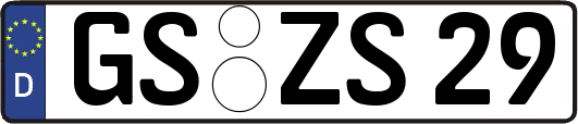 GS-ZS29