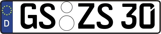 GS-ZS30