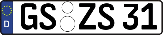 GS-ZS31