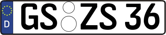 GS-ZS36