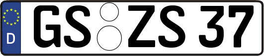 GS-ZS37