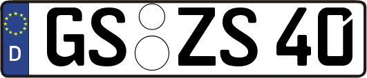 GS-ZS40