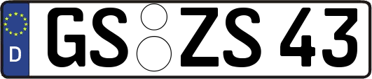 GS-ZS43