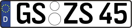 GS-ZS45