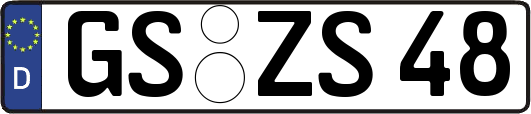 GS-ZS48