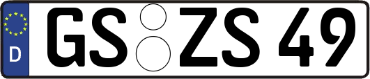 GS-ZS49