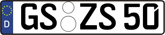 GS-ZS50