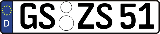 GS-ZS51