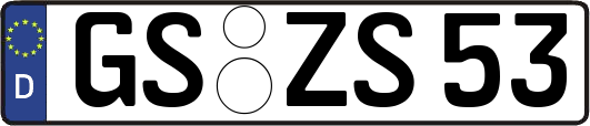 GS-ZS53