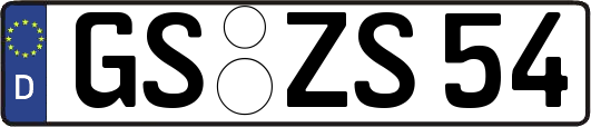 GS-ZS54