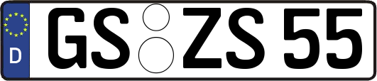 GS-ZS55