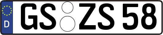 GS-ZS58
