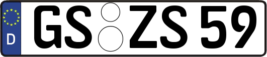 GS-ZS59