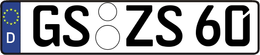 GS-ZS60