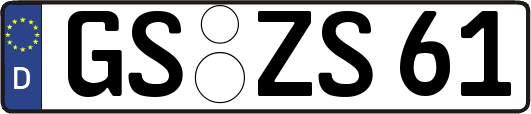GS-ZS61