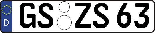 GS-ZS63