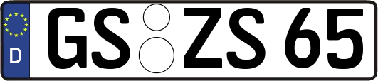GS-ZS65